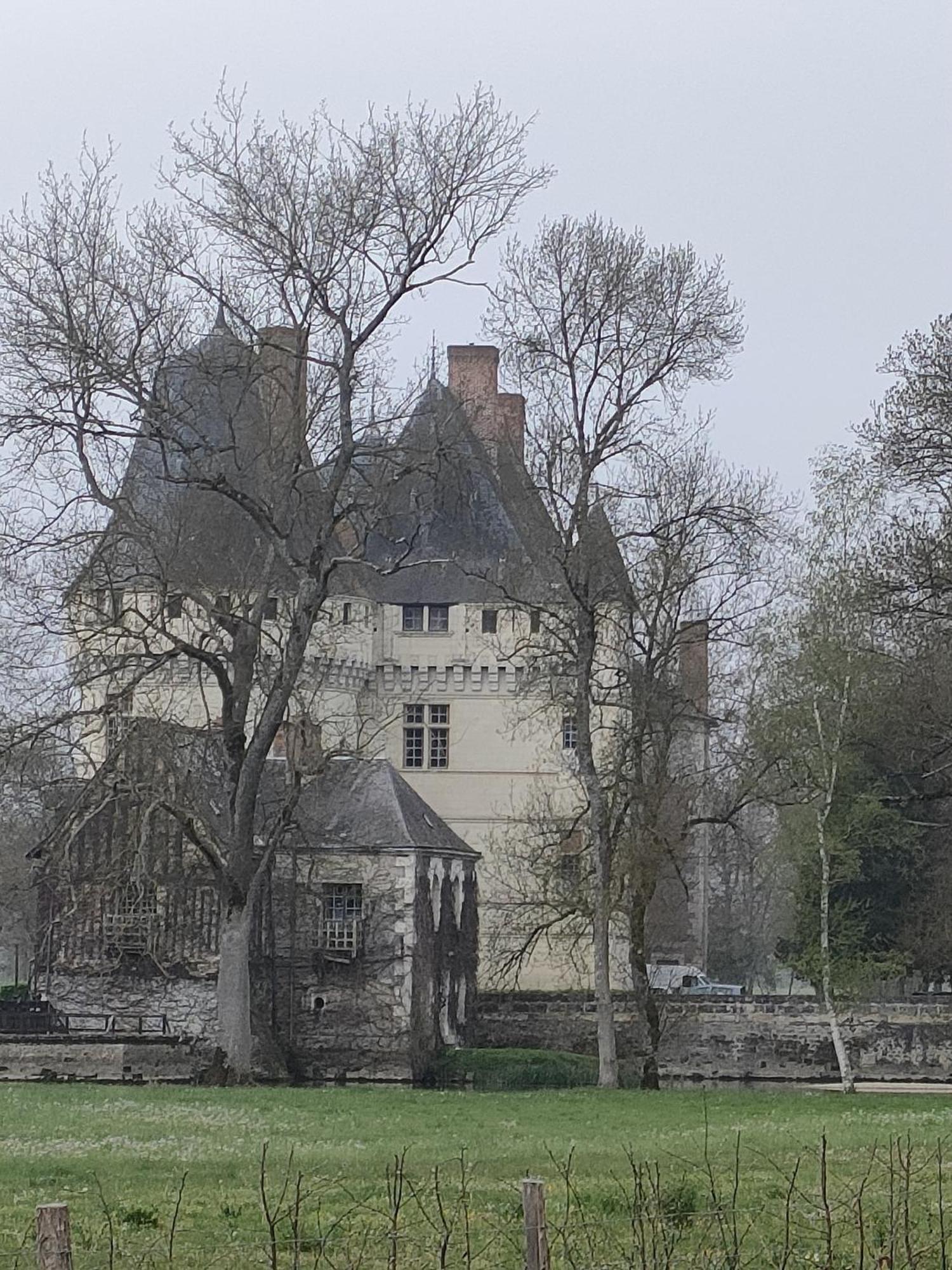 Les Logis D Usse Villa Rigny-Ussé Екстериор снимка